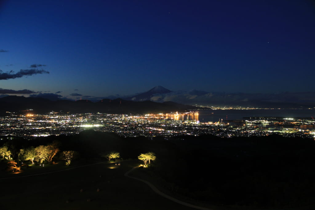 日本平が 日本夜景遺産 自然夜景遺産 に認定されました 日本平観光協会