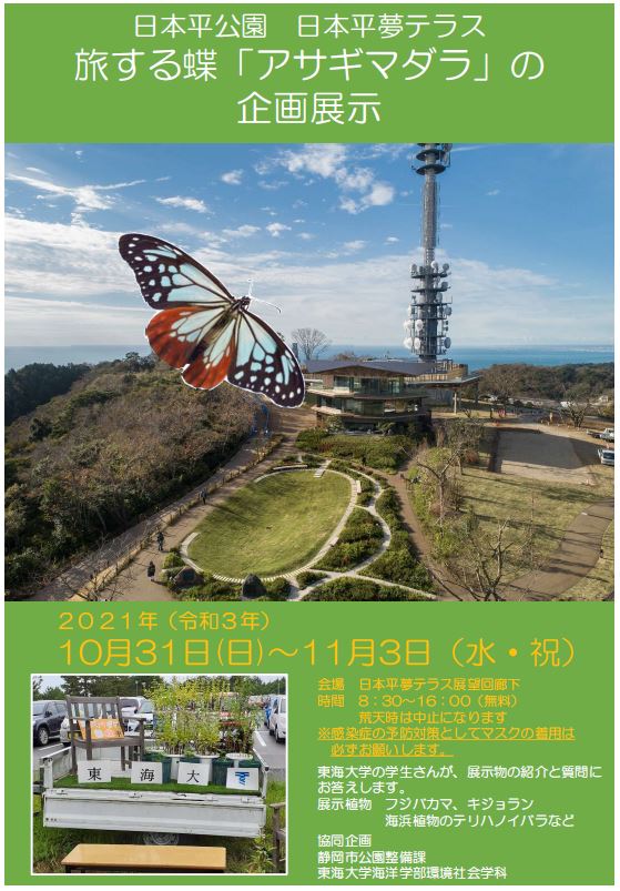 日本平公園 旅する蝶アサギマダラの企画展示のお知らせ 日本平観光協会